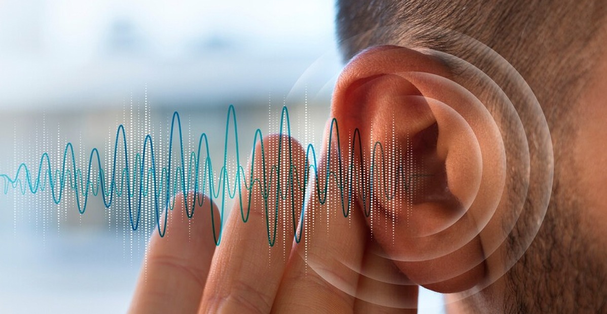 PROGRAMA RIESGO AUDITIVO